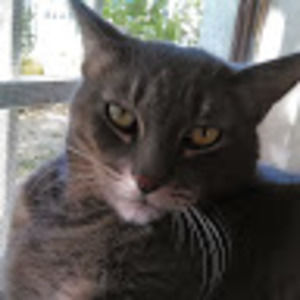 Meet your Posher, Ruben